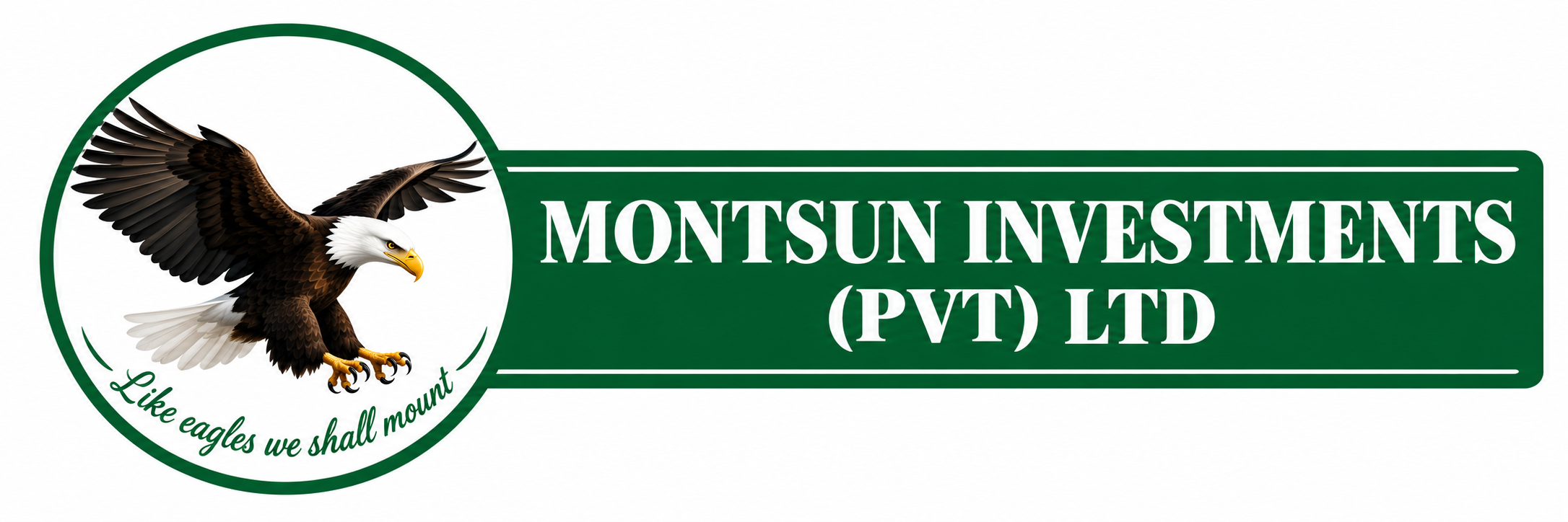 Montsun Investments (Pvt) Ltd. Like eagles we shall mount.